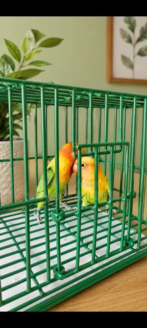 Green Opaline