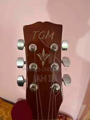 টিজিএম গিটার