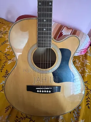 টিজিএম গিটার