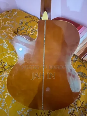 টিজিএম গিটার