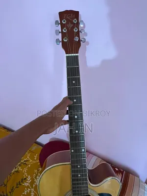 টিজিএম গিটার