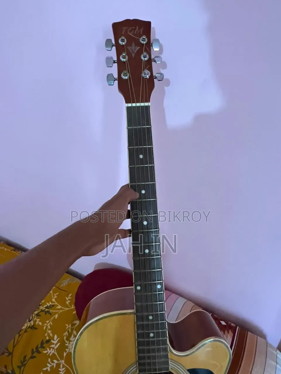 টিজিএম গিটার