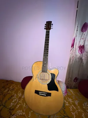 টিজিএম গিটার