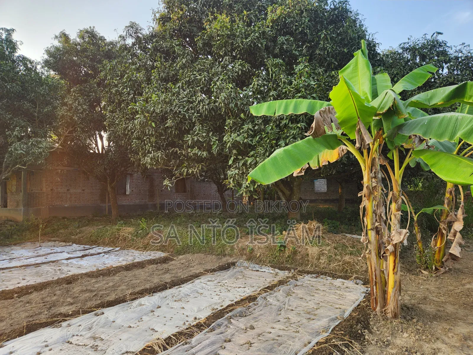 4 Katha Square Land