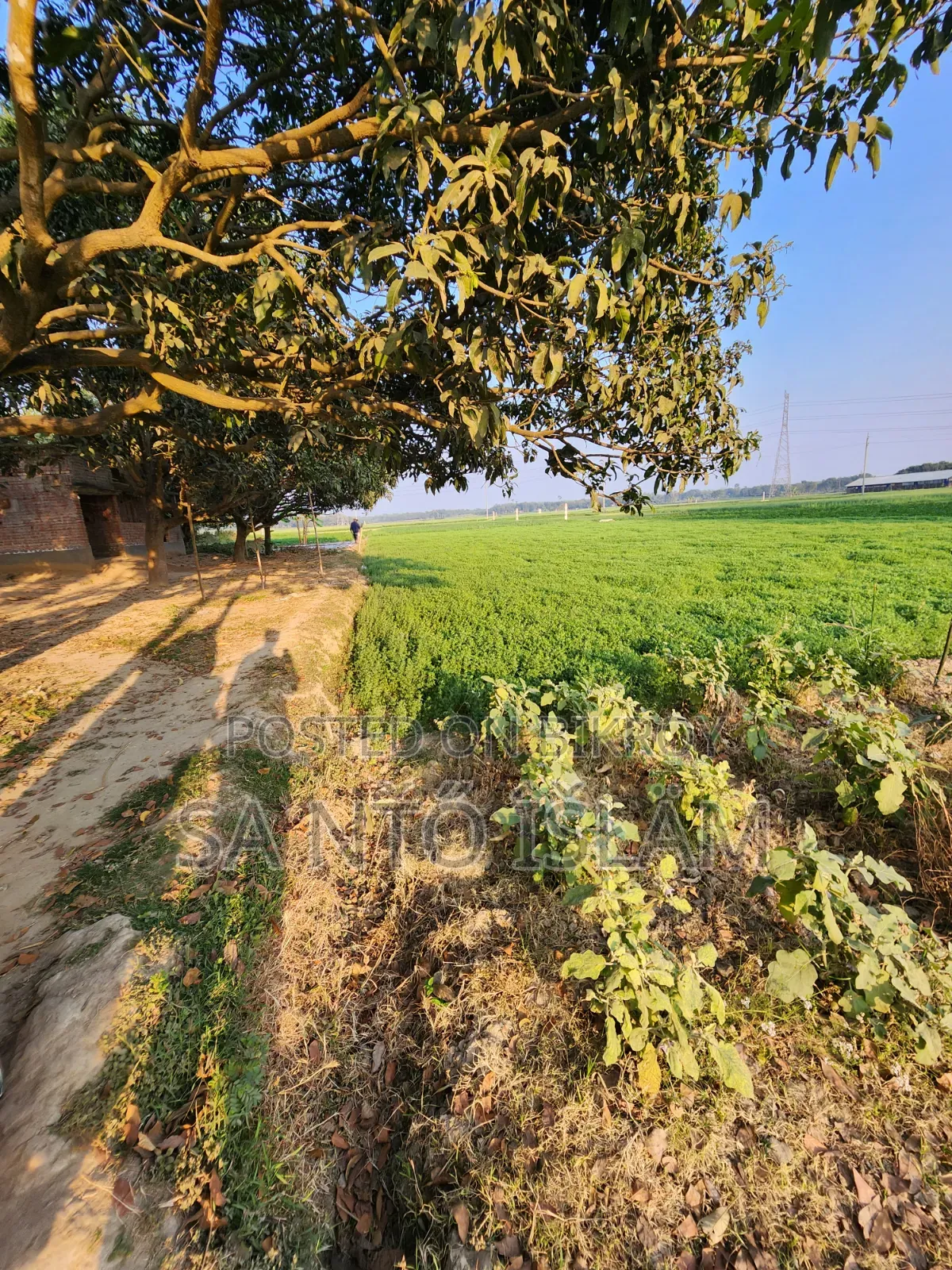 4 Katha Square Land
