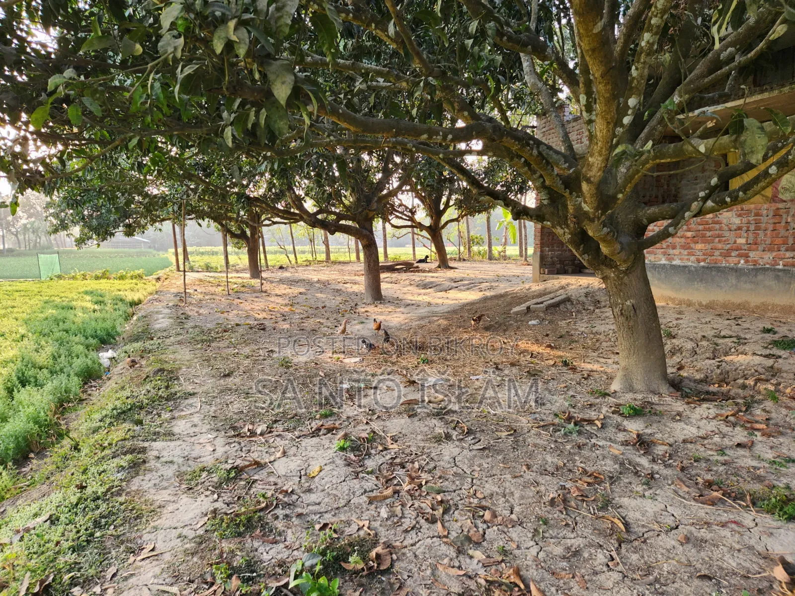 4 Katha Square Land