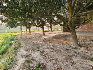 4 Katha Square Land