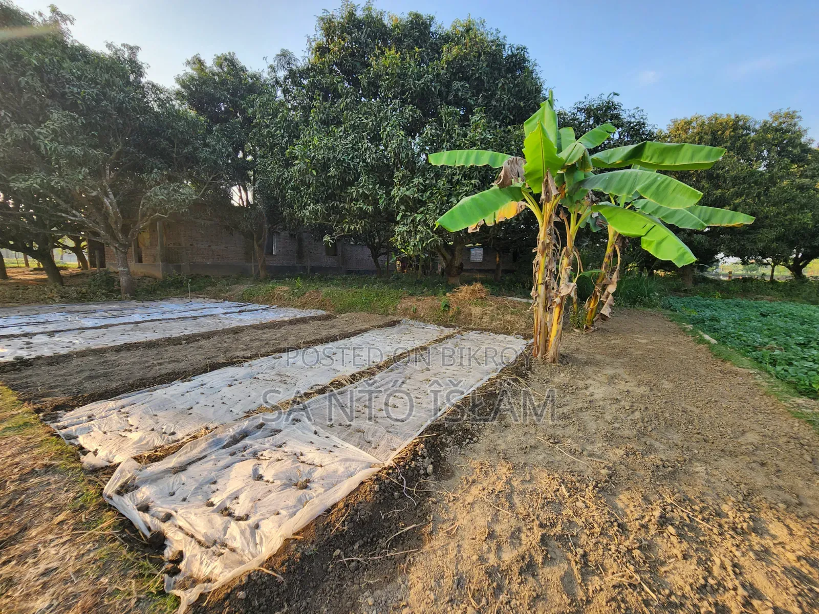 4 Katha Square Land