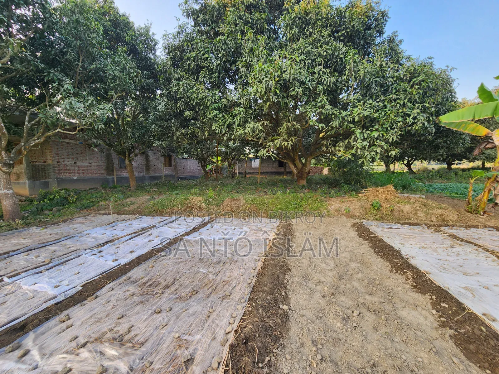 4 Katha Square Land