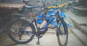 ইলেকট্রিক সাইকেল