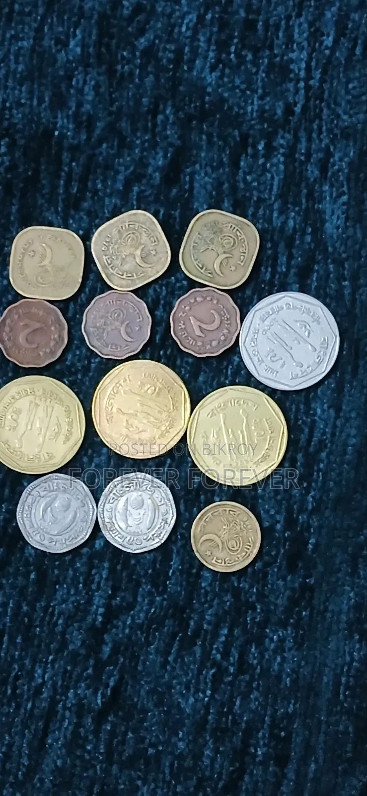 BD Coin for Sale