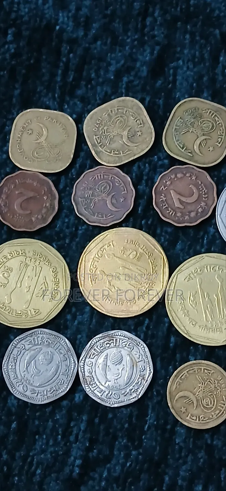 BD Coin for Sale