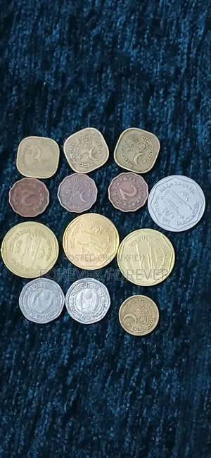 BD Coin for Sale