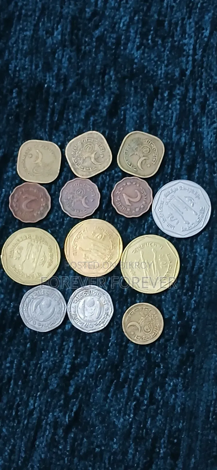 BD Coin for Sale
