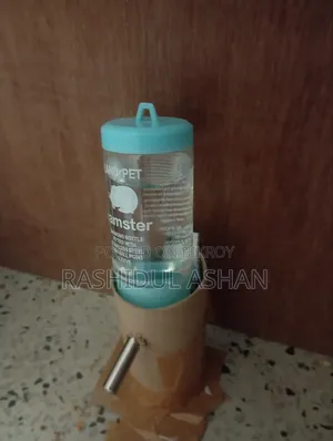 Syrian Hamster Pair Setup
