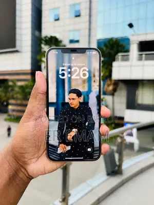 অ্যাপল আইফোন ১২ প্রো ম্যাক্স ১২৮ জিবি রোজ গোল্ড