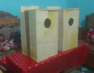 Breeding Box for Ringneck
