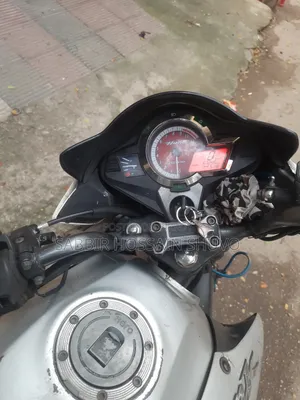 হিরো হাঙ্ক ২০১১ সিলভার
