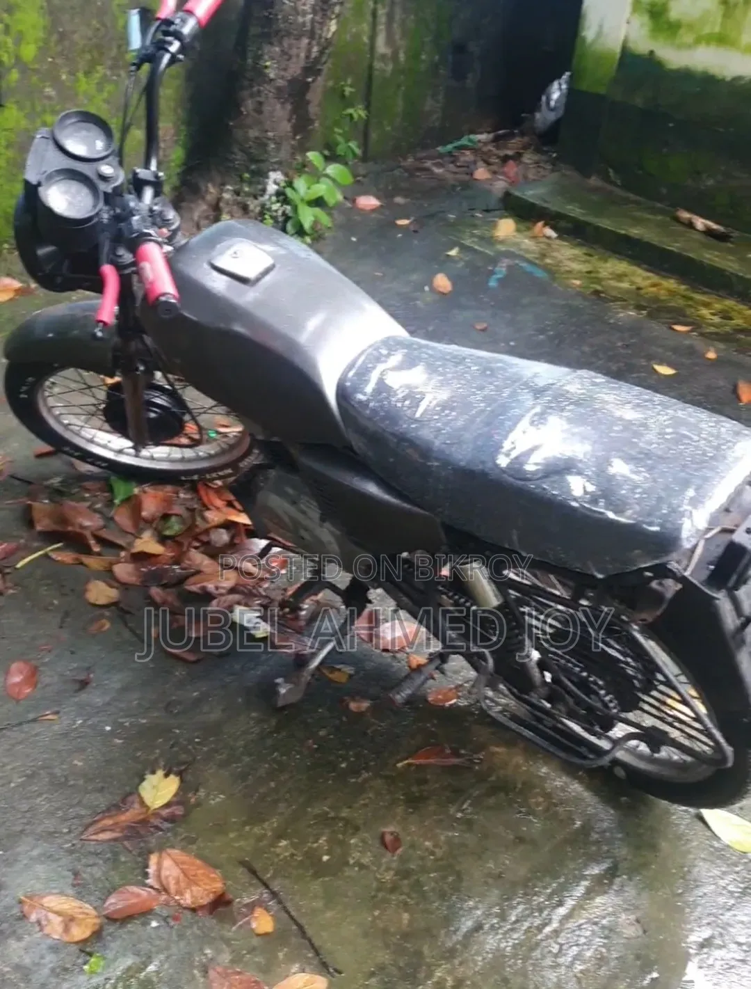 সুজুকি ২০০৬ গ্রে