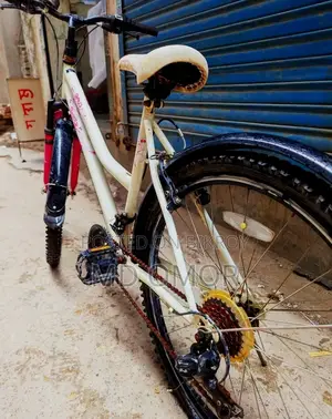 লেডিস সাইকেল