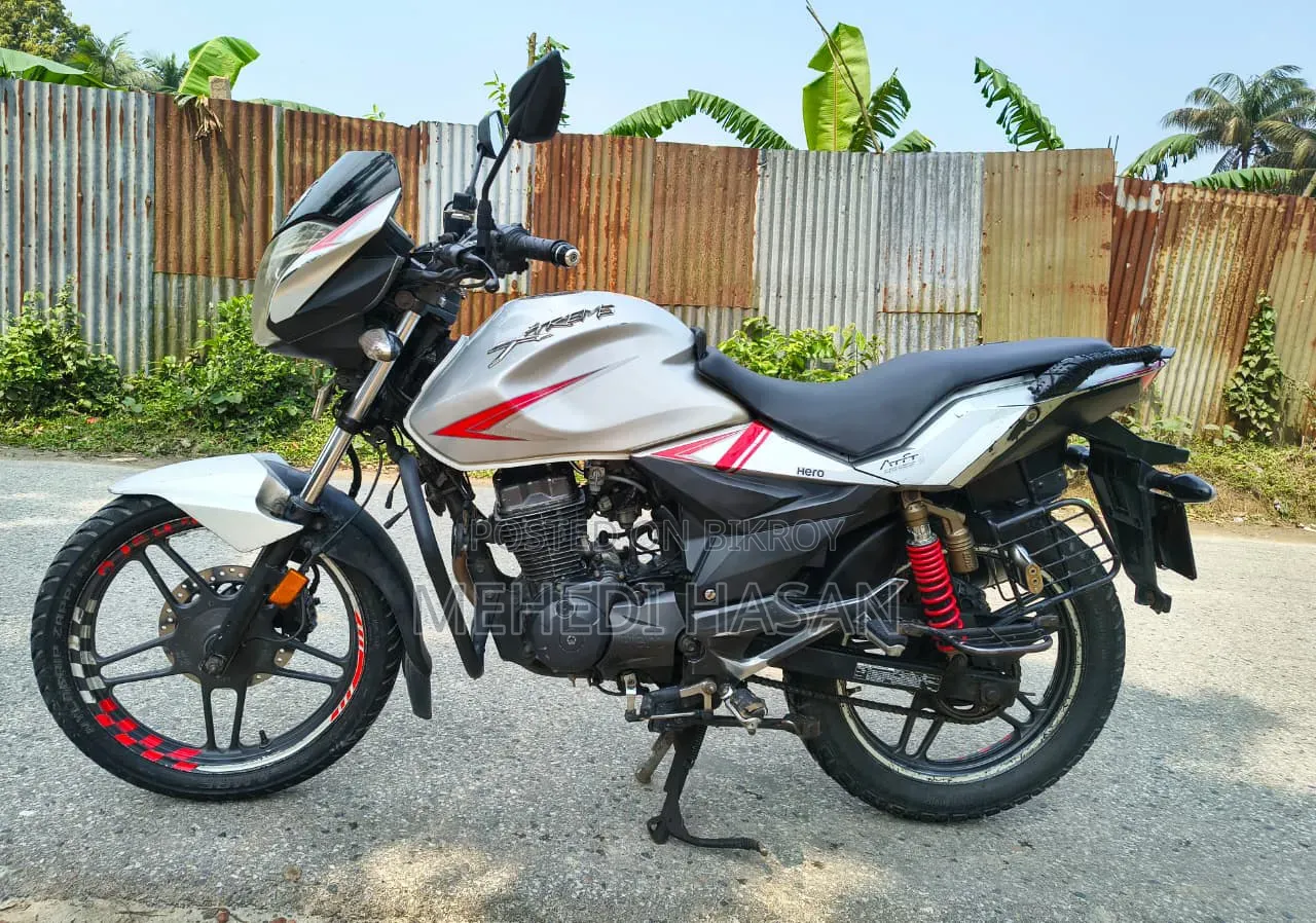 Hero Xtreme Sports 2016 Gray
