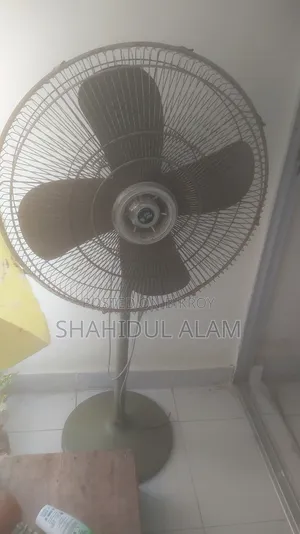 Pakistani Fan