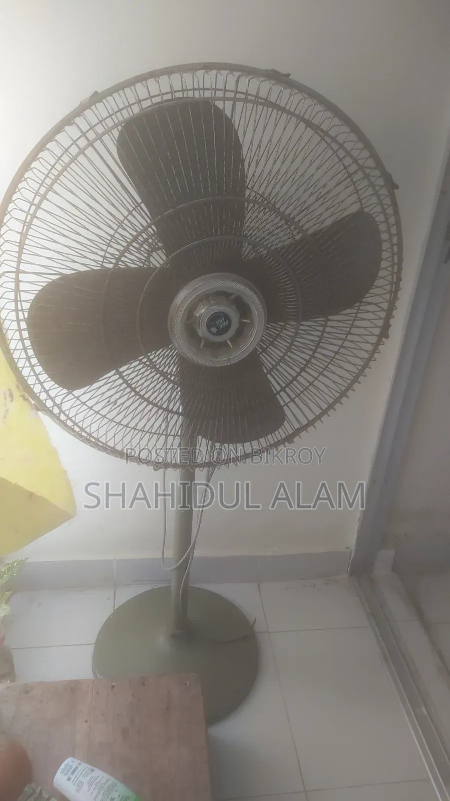 Pakistani Fan