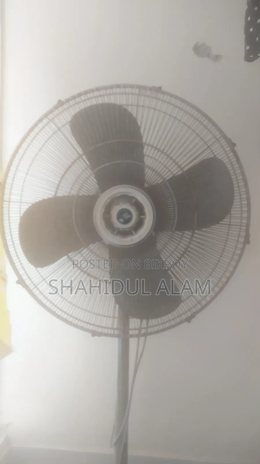 Pakistani Fan