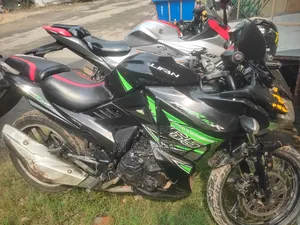 Lifan 2022 Green