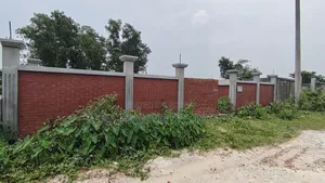 3 Katha East-facing plot on 36 feet road in Sector 9