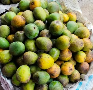 Himsagar Mango