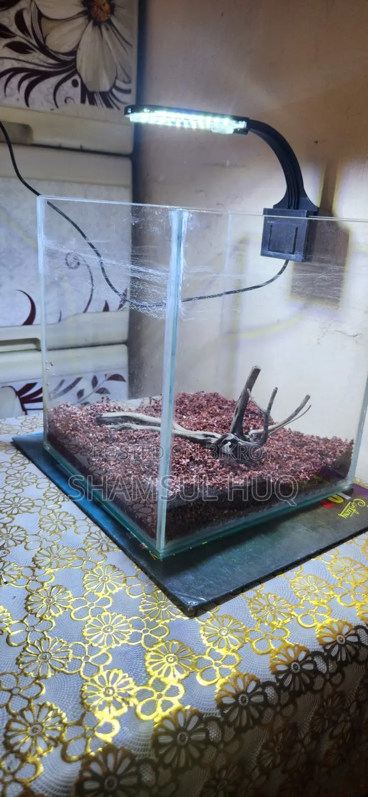 ফুল অ্যাকুরিয়াম সেটআপ সেল