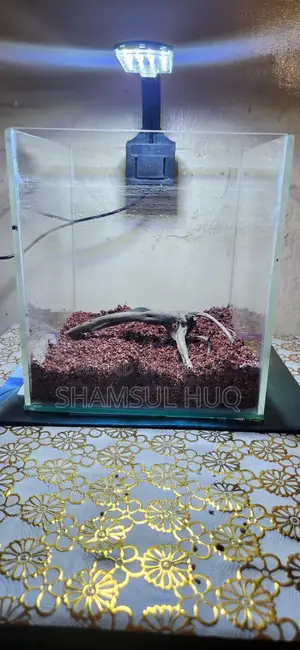 ফুল অ্যাকুরিয়াম সেটআপ সেল