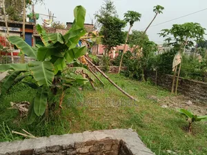 I want to sell the land, if anyone wants to take it, they can, it is walled