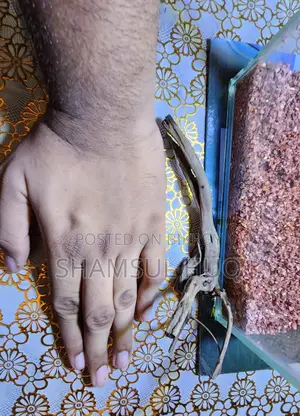 ফুল অ্যাকুরিয়াম সেটআপ সেল