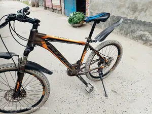 Phoenix Gear Cycle 24 Size