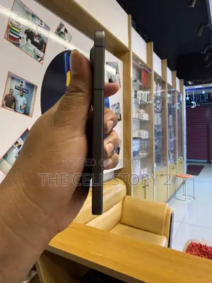 Vivo X300 256 GB Black