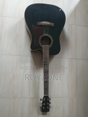 গিটার ইনস্ট্রুমেন্ট