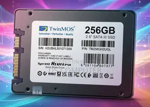Twinmos 256GB SSD