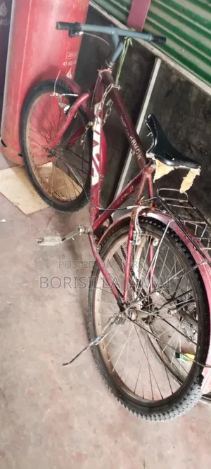 ব্যক্তিগত গতিশীলতা