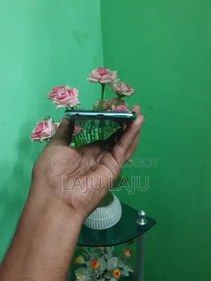 ভিভো ওয়াই১৭ ৬৪ জিবি ব্লু