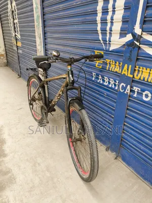 Bicycle for sale