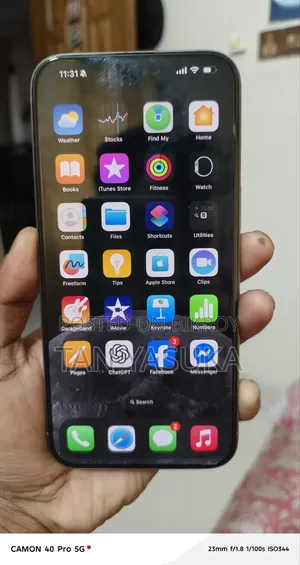 Apple iPhone 15 Pro Max 256 GB Gray