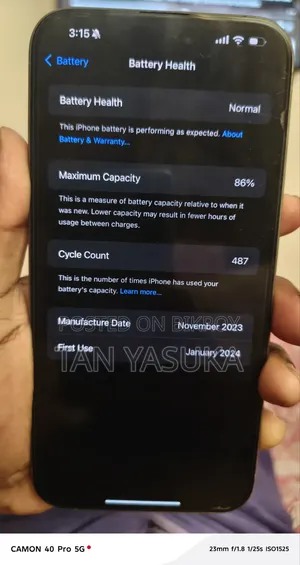 Apple iPhone 15 Pro Max 256 GB Gray