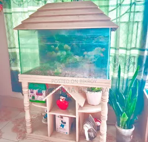 উডেন স্ট্যান্ড অ্যাকোয়ারিয়াম - প্রায় নতুন