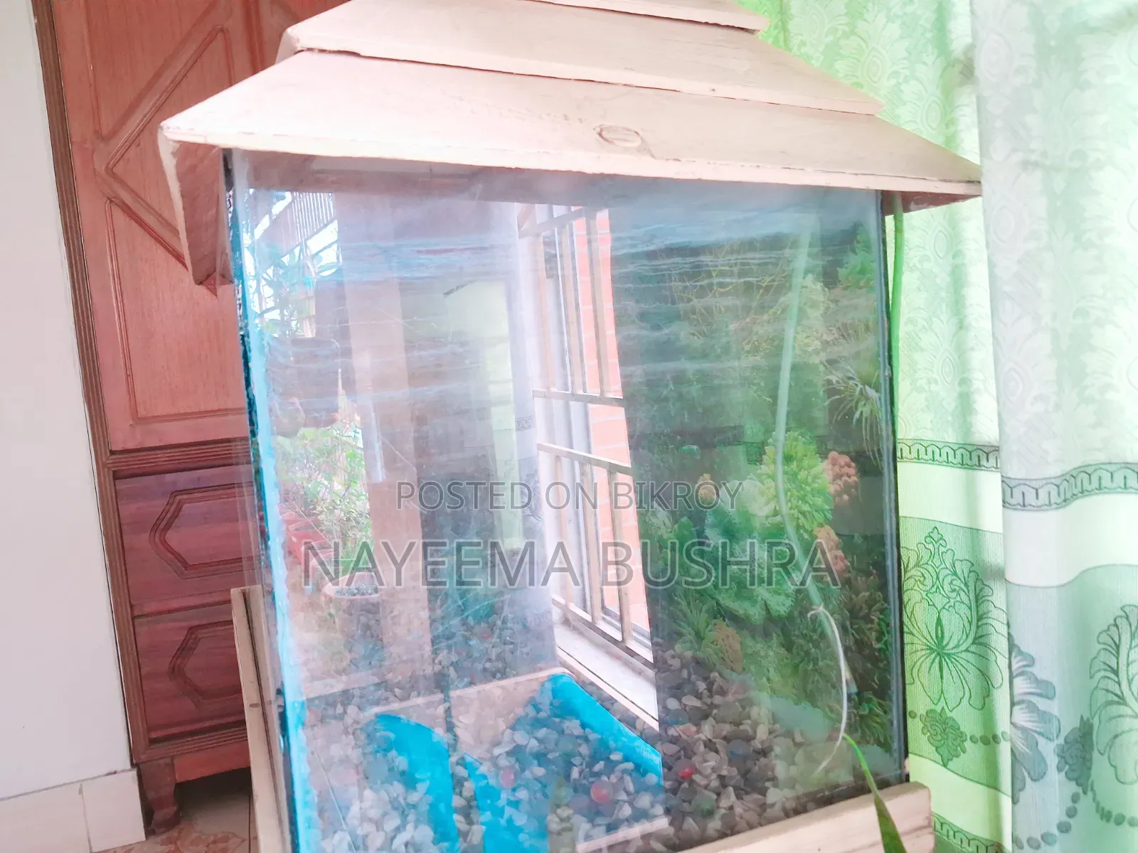 উডেন স্ট্যান্ড অ্যাকোয়ারিয়াম - প্রায় নতুন