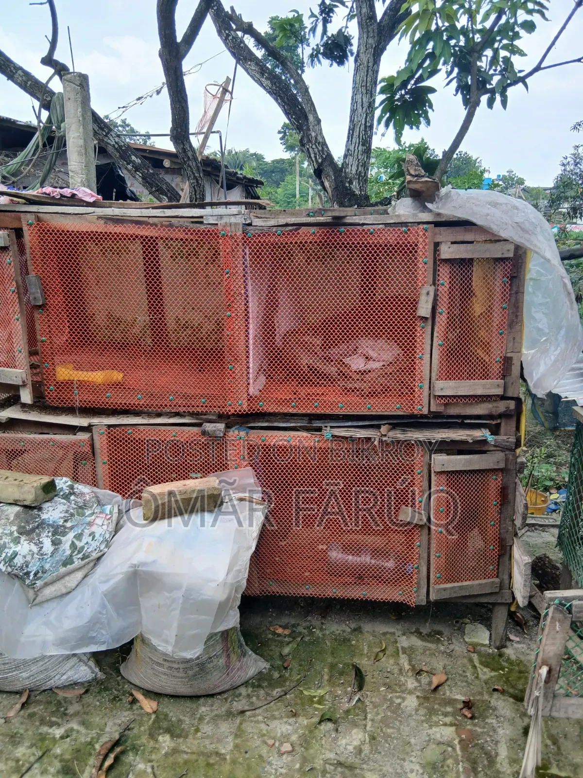 দুইতলা বিশিষ্ট মুরগির খাঁচা