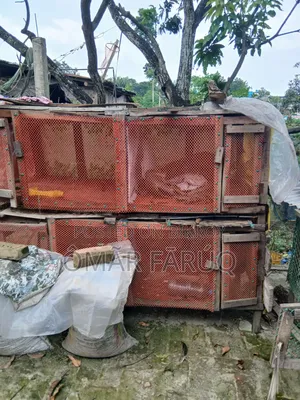 দুইতলা বিশিষ্ট মুরগির খাঁচা