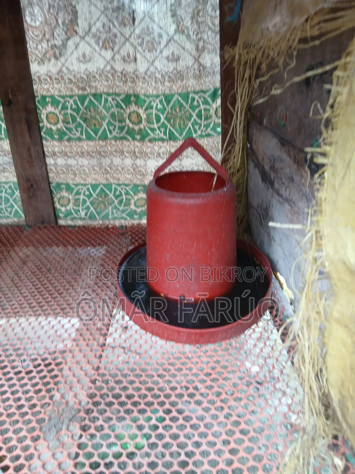 দুইতলা বিশিষ্ট মুরগির খাঁচা