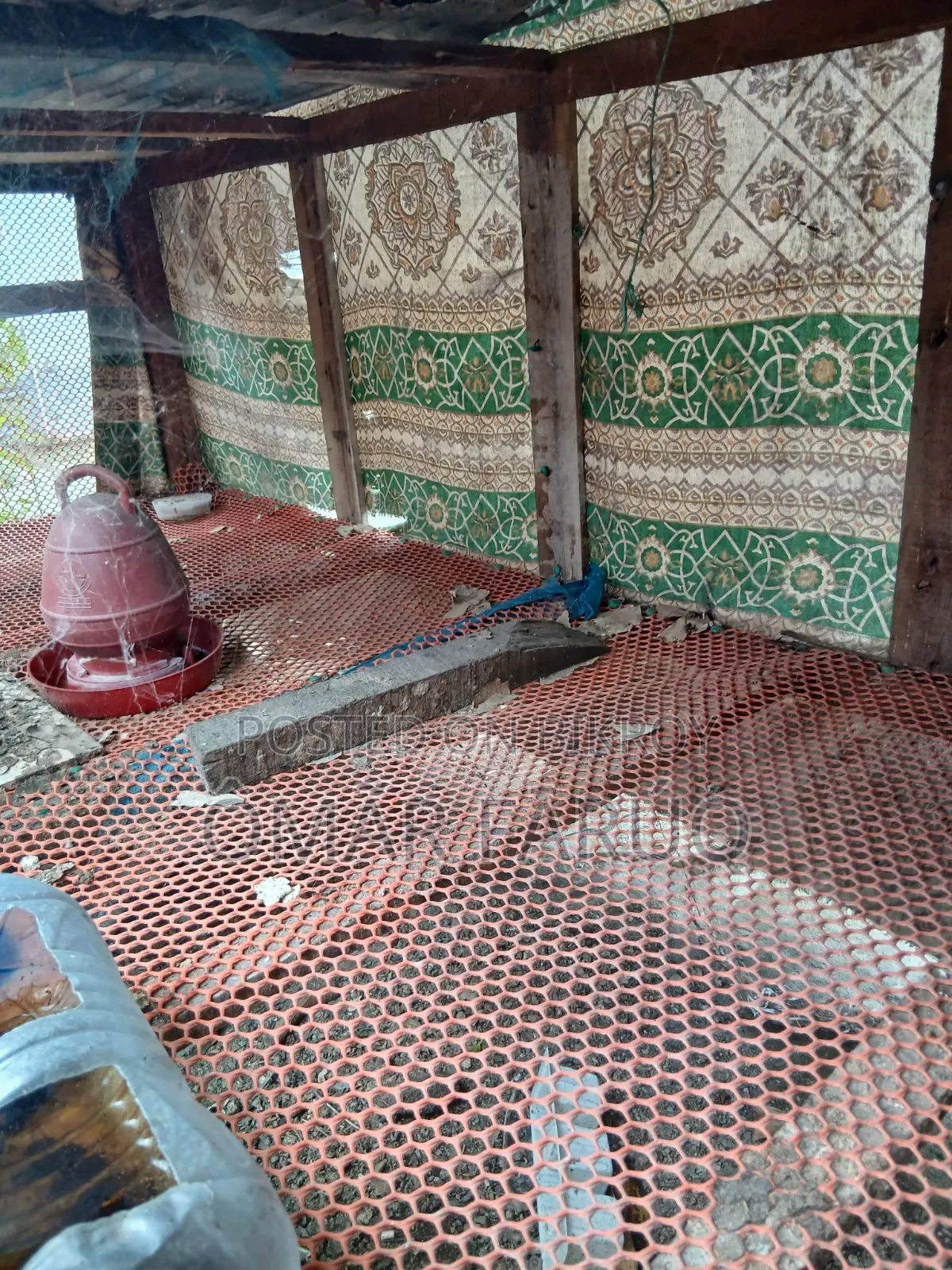 দুইতলা বিশিষ্ট মুরগির খাঁচা